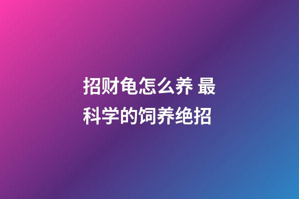 招财龟怎么养 最科学的饲养绝招
